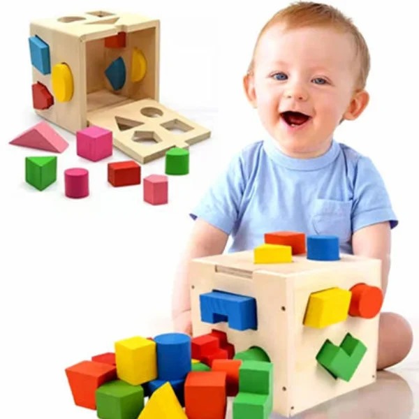 Fifteen Hole Shape Intelligence Box